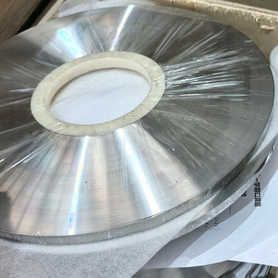 Thin Stainless Steel Spring Strips